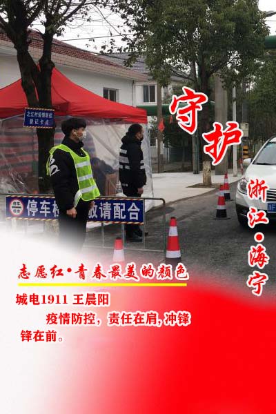 王晨阳